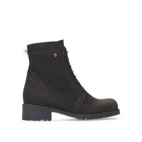 Quinta_Veterboot_Bruin